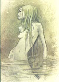 Froud, Illustration